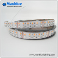 DC12V / 24V 144LEDs / M Linha dupla SMD5050 RGBW LED Strip Light